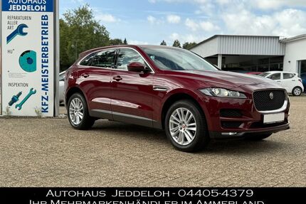 Jaguar F-Pace Gebrauchtwagen
