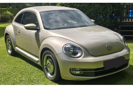 VW Beetle Gebrauchtwagen