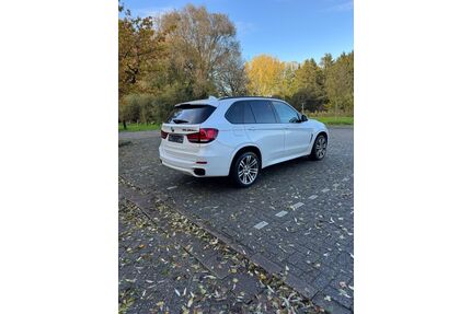 BMW X5 M50 Gebrauchtwagen