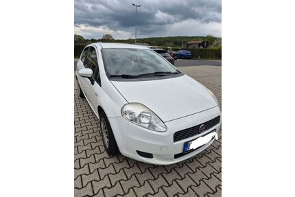 Fiat Punto Gebrauchtwagen