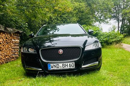 Jaguar XF Gebrauchtwagen