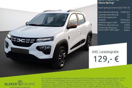 Dacia Spring Gebrauchtwagen