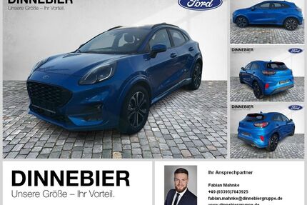 Ford Puma Gebrauchtwagen