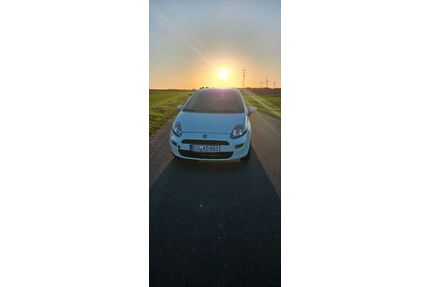Fiat Punto Gebrauchtwagen