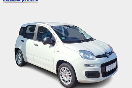 Fiat Panda Gebrauchtwagen