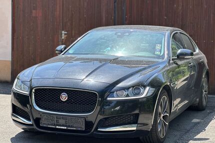 Jaguar XF Gebrauchtwagen