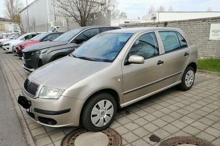 Skoda Fabia Gebrauchtwagen
