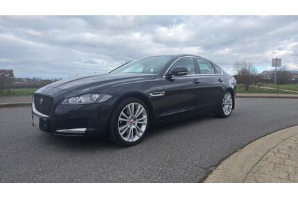 Jaguar XF Gebrauchtwagen
