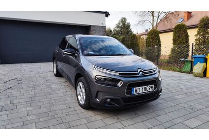 Citroen C4 Cactus Gebrauchtwagen