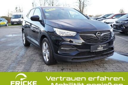 Opel Grandland (X) Gebrauchtwagen