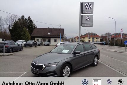 Skoda Octavia Gebrauchtwagen