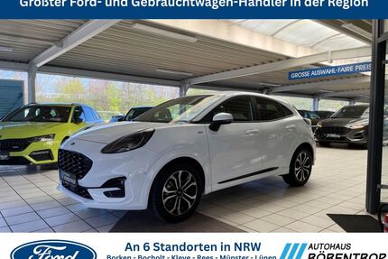 Ford Puma Gebrauchtwagen