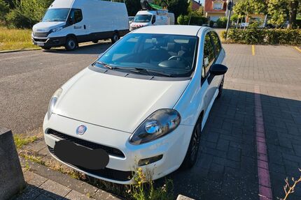 Fiat Punto Evo Gebrauchtwagen