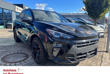 Cupra Terramar Gebrauchtwagen