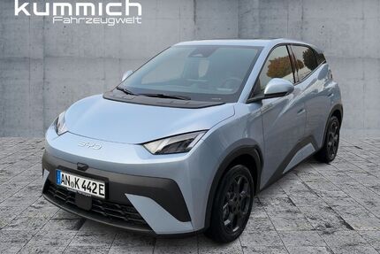 BYD DOLPHIN Gebrauchtwagen