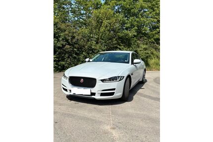 Jaguar XE Gebrauchtwagen