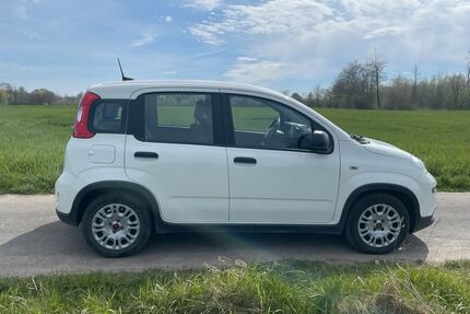 Fiat Panda Gebrauchtwagen