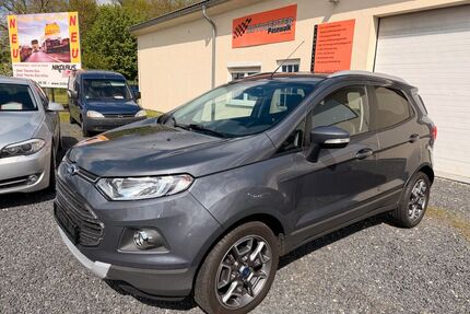 Ford EcoSport Gebrauchtwagen