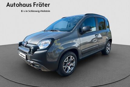 Fiat Panda Gebrauchtwagen