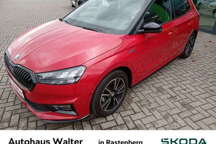 Skoda Fabia Gebrauchtwagen