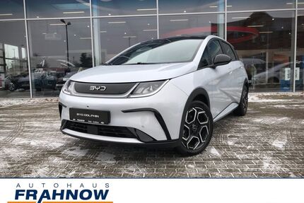 BYD DOLPHIN Gebrauchtwagen