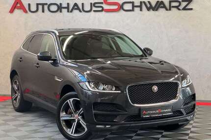 Jaguar F-Pace Gebrauchtwagen