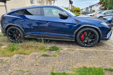 Lamborghini Urus Gebrauchtwagen