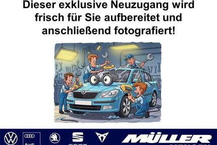 Seat Tarraco Gebrauchtwagen
