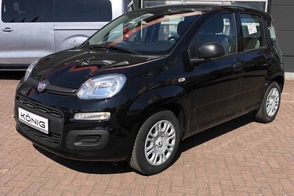 Fiat Panda Gebrauchtwagen