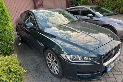Jaguar XE Gebrauchtwagen