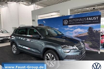 Skoda Karoq Gebrauchtwagen