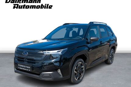 Subaru Forester Gebrauchtwagen