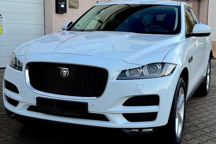Jaguar F-Pace Gebrauchtwagen