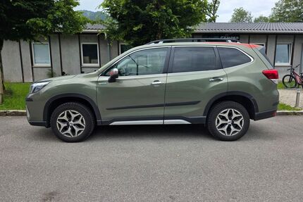 Subaru Forester Gebrauchtwagen