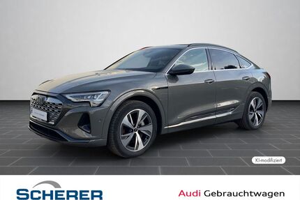 Audi Q8 e-tron Gebrauchtwagen