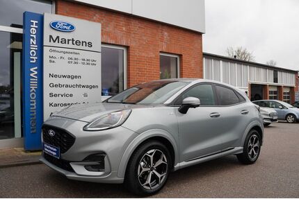 Ford Puma Gebrauchtwagen