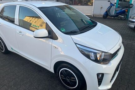 Kia Picanto Gebrauchtwagen