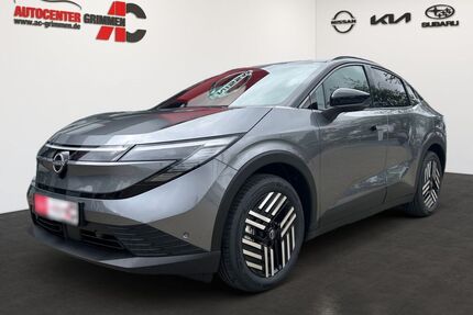 Nissan Leaf Gebrauchtwagen