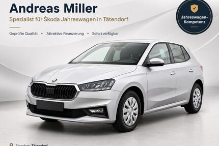 Skoda Fabia Gebrauchtwagen