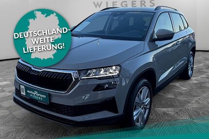 Skoda Karoq Gebrauchtwagen