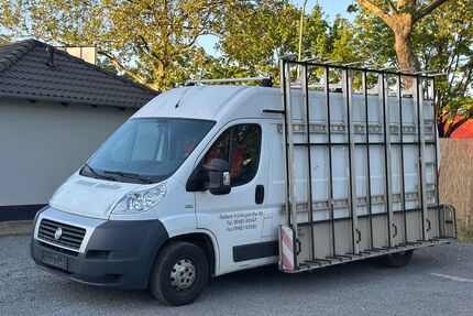 Fiat Ducato Gebrauchtwagen