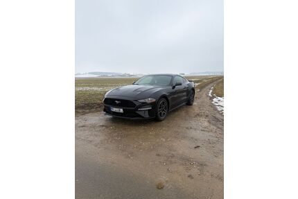 Ford Mustang Gebrauchtwagen