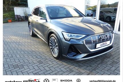 Audi e-tron Gebrauchtwagen