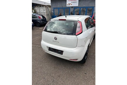Fiat limousine punto Gebrauchtwagen