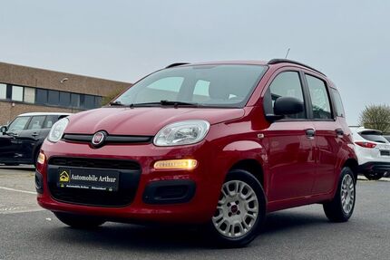 Fiat Panda Gebrauchtwagen
