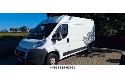 Fiat Ducato Gebrauchtwagen