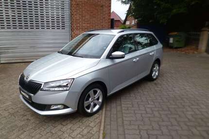 Skoda Fabia Gebrauchtwagen