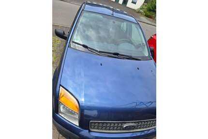 Ford Fusion Gebrauchtwagen