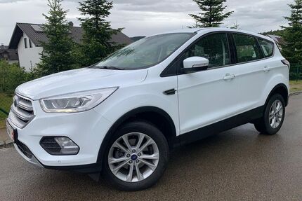 Ford Kuga Gebrauchtwagen