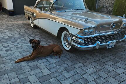 Buick Riviera Gebrauchtwagen